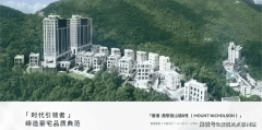 以及建于商场至上的一座310米高的塔
